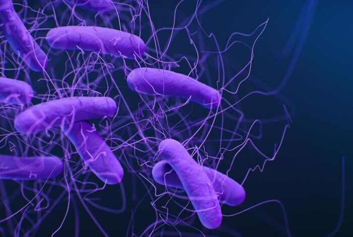 حدد العلماء مركبات تقلل الآثار الجانبية الضارة للمضادات الحيوية على بكتيريا الأمعاء